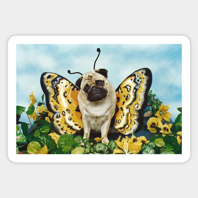 Butterfly Pug Dog Sticker by candiscamera